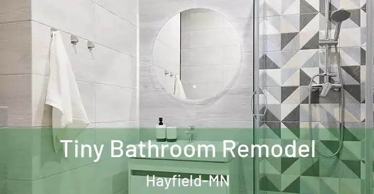 inner Bathroom imggen Tiny Bathroom Remodel Hayfield-MN