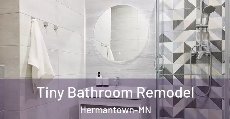inner Bathroom imggen Tiny Bathroom Remodel Hermantown-MN