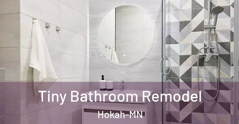 inner Bathroom imggen Tiny Bathroom Remodel Hokah-MN