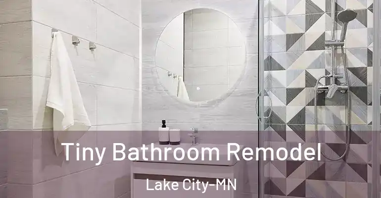 inner Bathroom imggen Tiny Bathroom Remodel Lake City-MN
