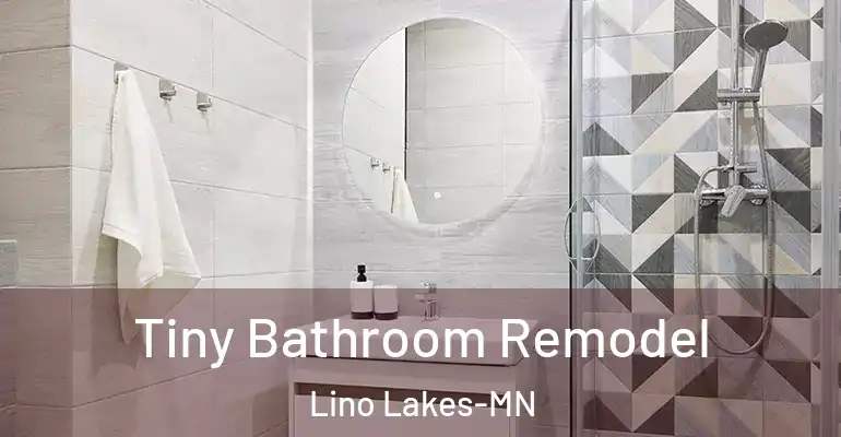 inner Bathroom imggen Tiny Bathroom Remodel Lino Lakes-MN
