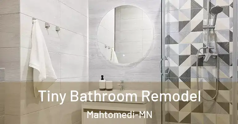 inner Bathroom imggen Tiny Bathroom Remodel Mahtomedi-MN