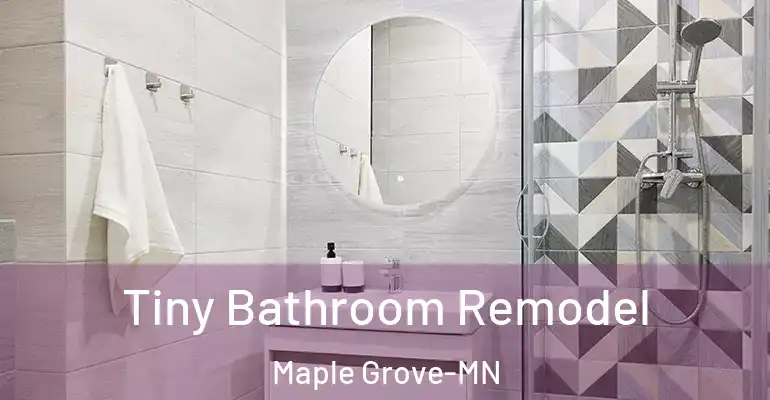 inner Bathroom imggen Tiny Bathroom Remodel Maple Grove-MN