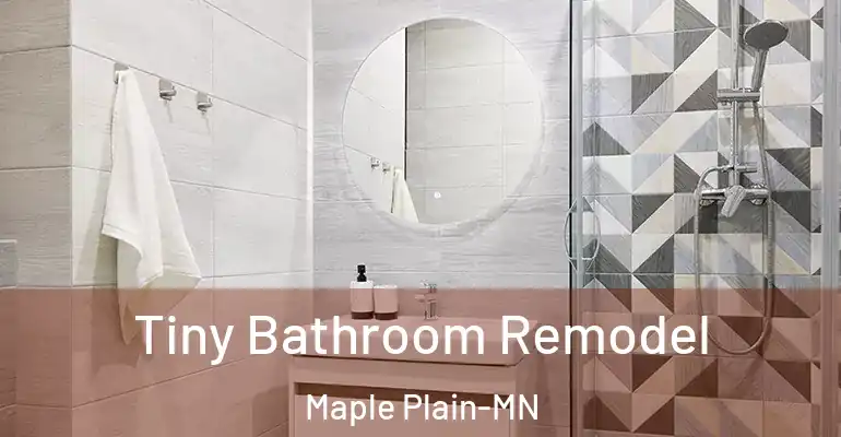 inner Bathroom imggen Tiny Bathroom Remodel Maple Plain-MN