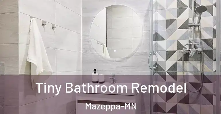 inner Bathroom imggen Tiny Bathroom Remodel Mazeppa-MN
