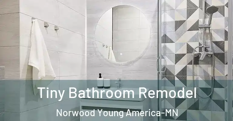 inner Bathroom imggen Tiny Bathroom Remodel Norwood Young America-MN