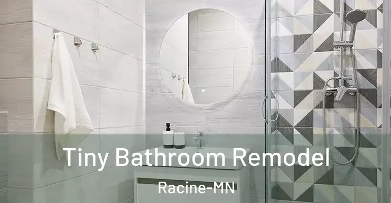 inner Bathroom imggen Tiny Bathroom Remodel Racine-MN