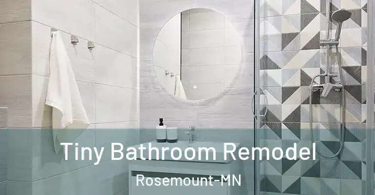 inner Bathroom imggen Tiny Bathroom Remodel Rosemount-MN