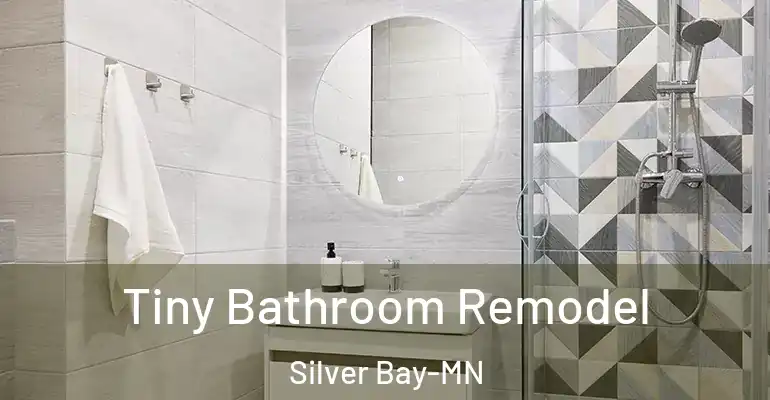 inner Bathroom imggen Tiny Bathroom Remodel Silver Bay-MN