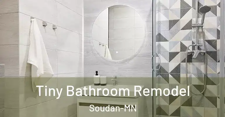 inner Bathroom imggen Tiny Bathroom Remodel Soudan-MN