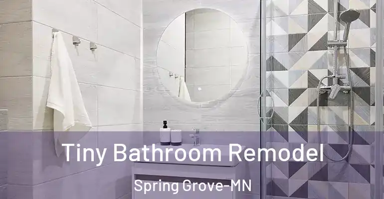 inner Bathroom imggen Tiny Bathroom Remodel Spring Grove-MN