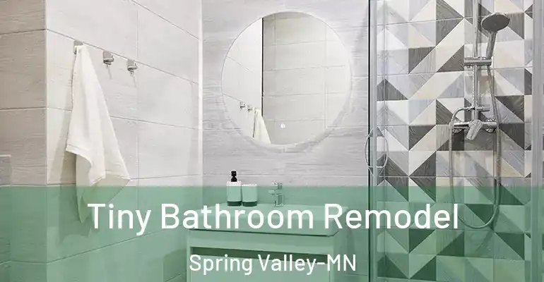 inner Bathroom imggen Tiny Bathroom Remodel Spring Valley-MN