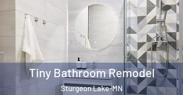inner Bathroom imggen Tiny Bathroom Remodel Sturgeon Lake-MN
