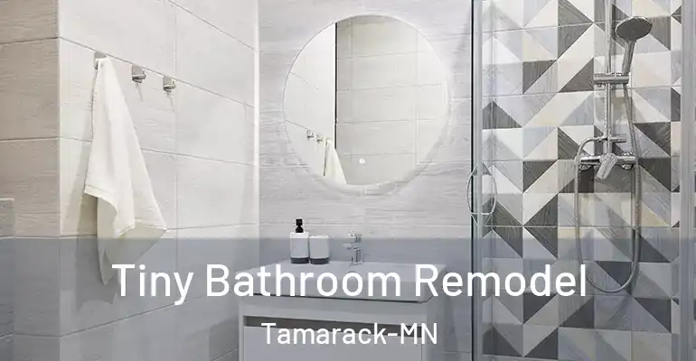 inner Bathroom imggen Tiny Bathroom Remodel Tamarack-MN