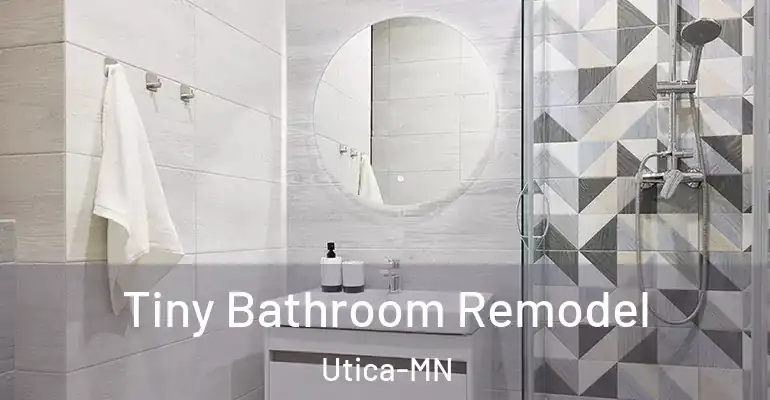 inner Bathroom imggen Tiny Bathroom Remodel Utica-MN
