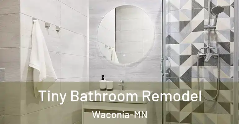 inner Bathroom imggen Tiny Bathroom Remodel Waconia-MN