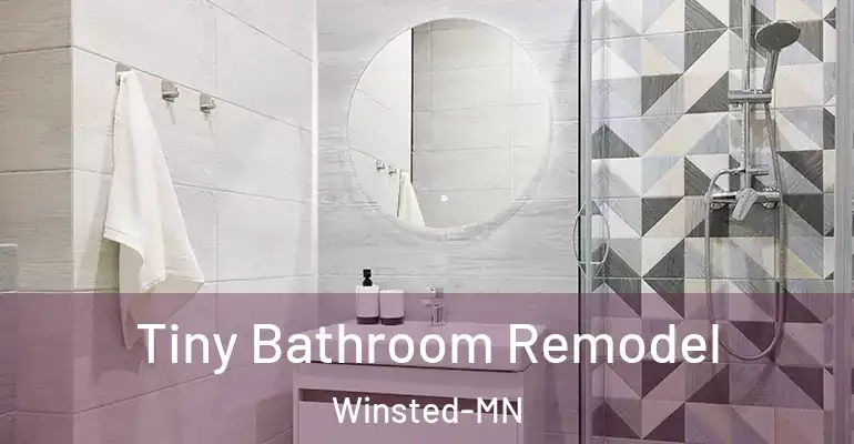 inner Bathroom imggen Tiny Bathroom Remodel Winsted-MN