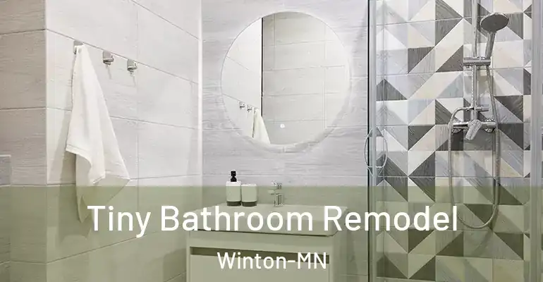 inner Bathroom imggen Tiny Bathroom Remodel Winton-MN
