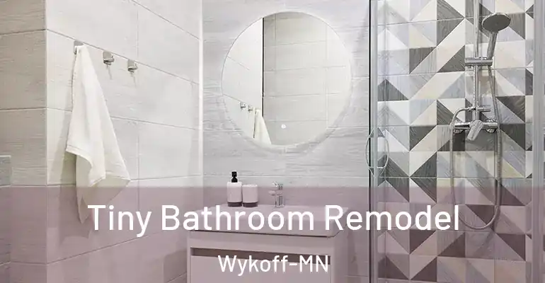 inner Bathroom imggen Tiny Bathroom Remodel Wykoff-MN
