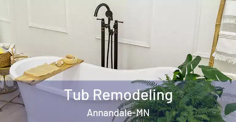 inner Bathroom imggen Tub Remodeling Annandale-MN