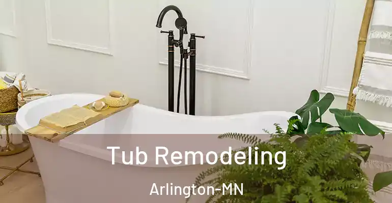 inner Bathroom imggen Tub Remodeling Arlington-MN