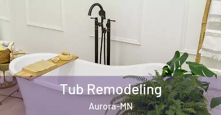 inner Bathroom imggen Tub Remodeling Aurora-MN