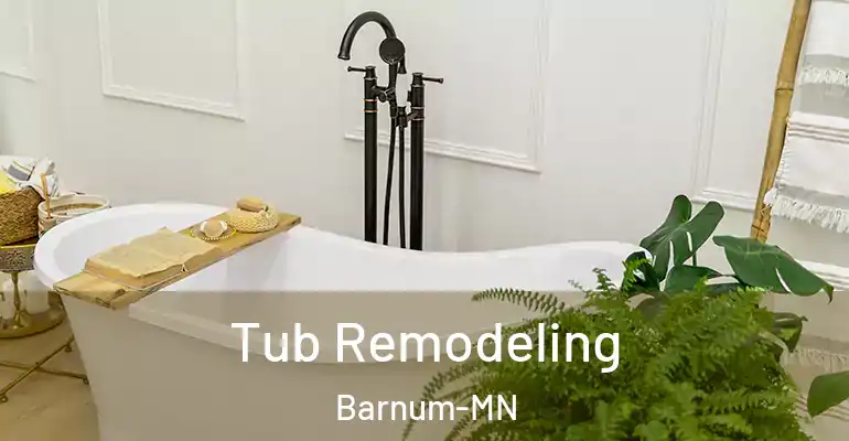 inner Bathroom imggen Tub Remodeling Barnum-MN