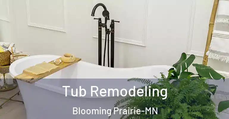 inner Bathroom imggen Tub Remodeling Blooming Prairie-MN