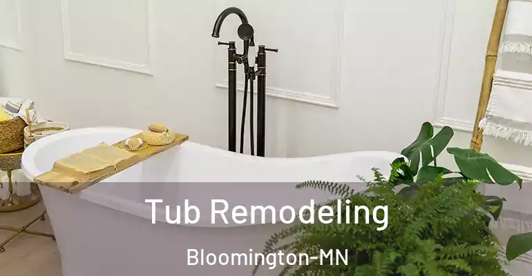 inner Bathroom imggen Tub Remodeling Bloomington-MN