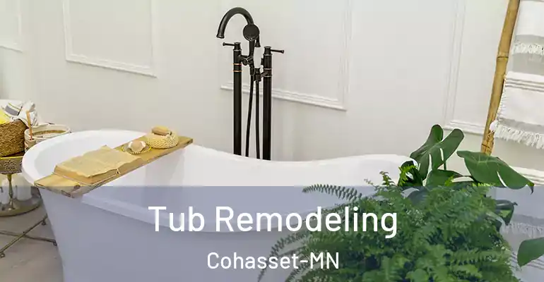inner Bathroom imggen Tub Remodeling Cohasset-MN
