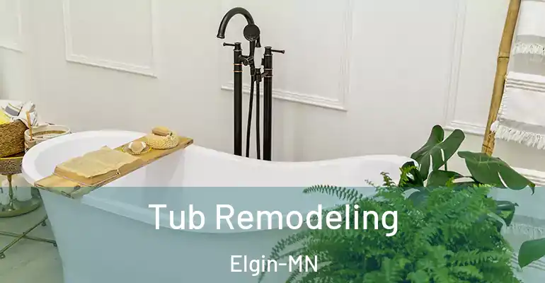 inner Bathroom imggen Tub Remodeling Elgin-MN