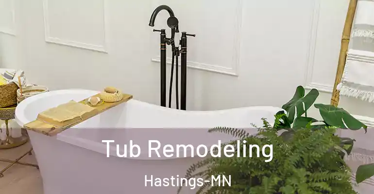 inner Bathroom imggen Tub Remodeling Hastings-MN