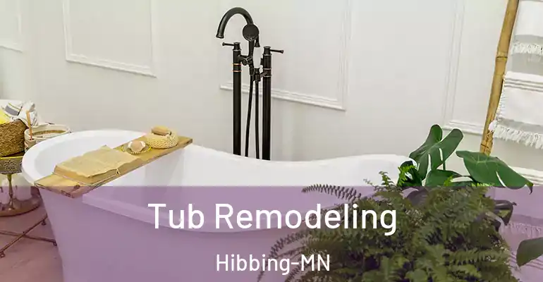 inner Bathroom imggen Tub Remodeling Hibbing-MN
