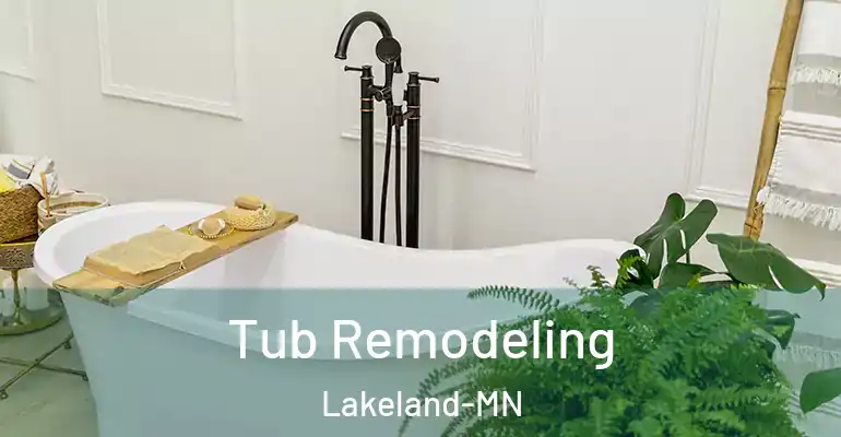 inner Bathroom imggen Tub Remodeling Lakeland-MN