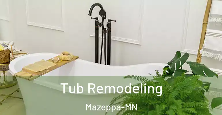 inner Bathroom imggen Tub Remodeling Mazeppa-MN