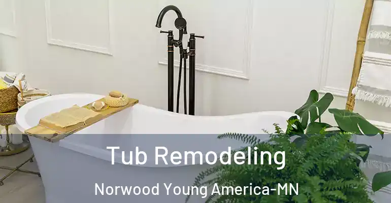 inner Bathroom imggen Tub Remodeling Norwood Young America-MN