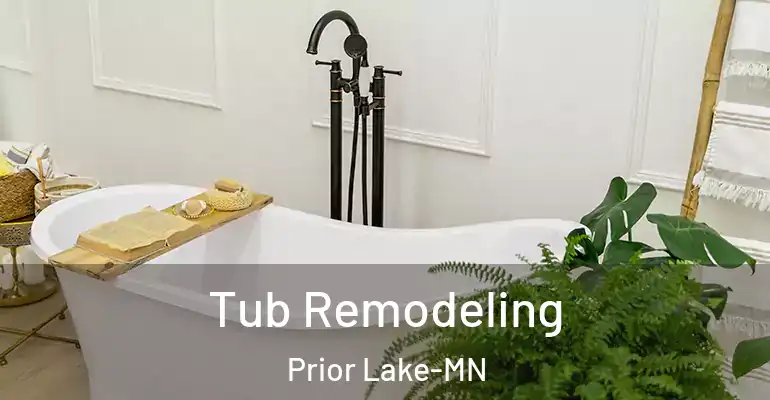 inner Bathroom imggen Tub Remodeling Prior Lake-MN