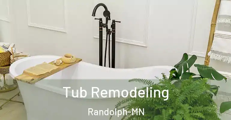 inner Bathroom imggen Tub Remodeling Randolph-MN