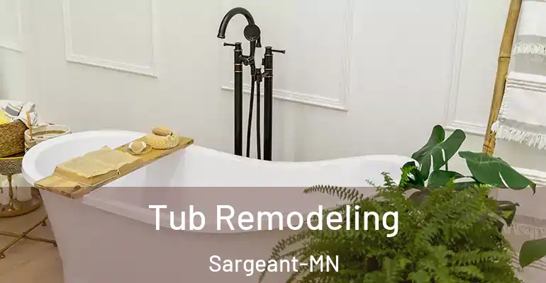 inner Bathroom imggen Tub Remodeling Sargeant-MN