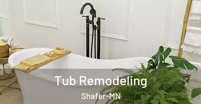 inner Bathroom imggen Tub Remodeling Shafer-MN