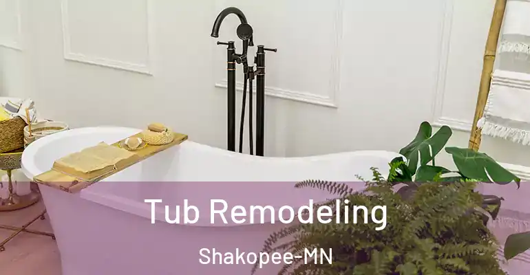 inner Bathroom imggen Tub Remodeling Shakopee-MN