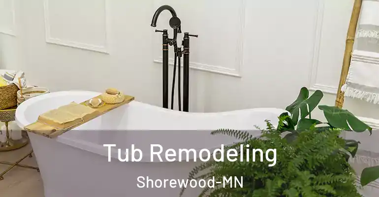 inner Bathroom imggen Tub Remodeling Shorewood-MN