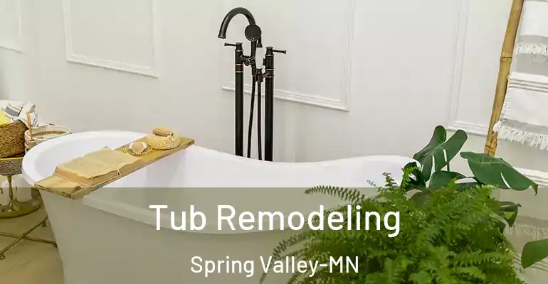 inner Bathroom imggen Tub Remodeling Spring Valley-MN