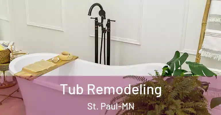 inner Bathroom imggen Tub Remodeling St. Paul-MN