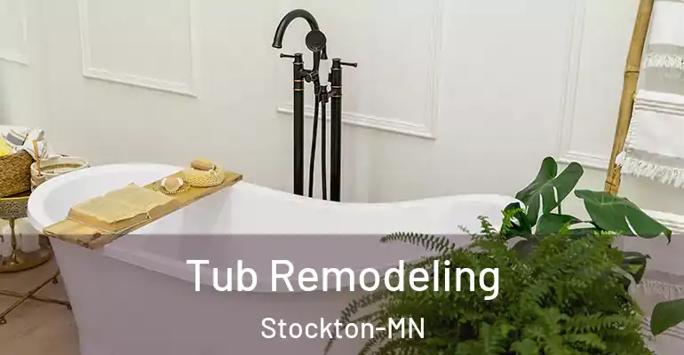 inner Bathroom imggen Tub Remodeling Stockton-MN