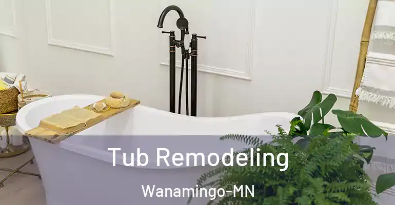 inner Bathroom imggen Tub Remodeling Wanamingo-MN
