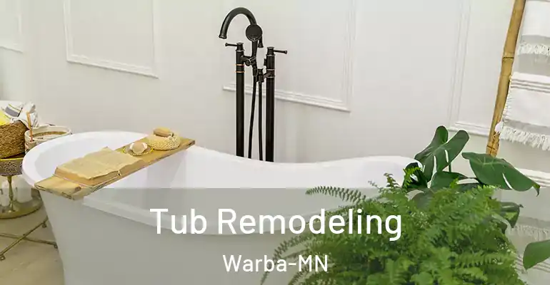 inner Bathroom imggen Tub Remodeling Warba-MN