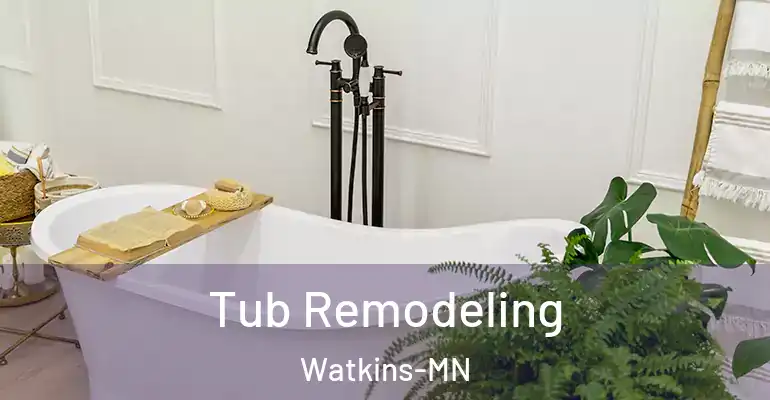 inner Bathroom imggen Tub Remodeling Watkins-MN