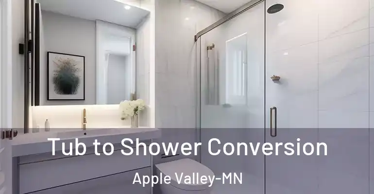 inner Bathroom imggen Tub to Shower Conversion Apple Valley-MN
