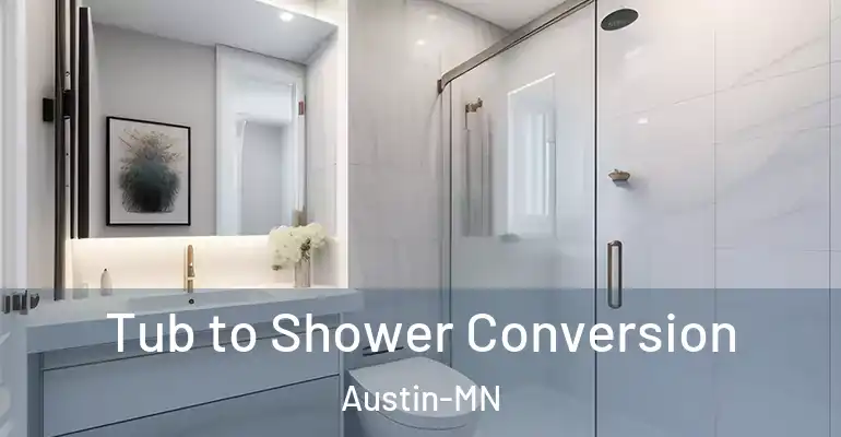 inner Bathroom imggen Tub to Shower Conversion Austin-MN